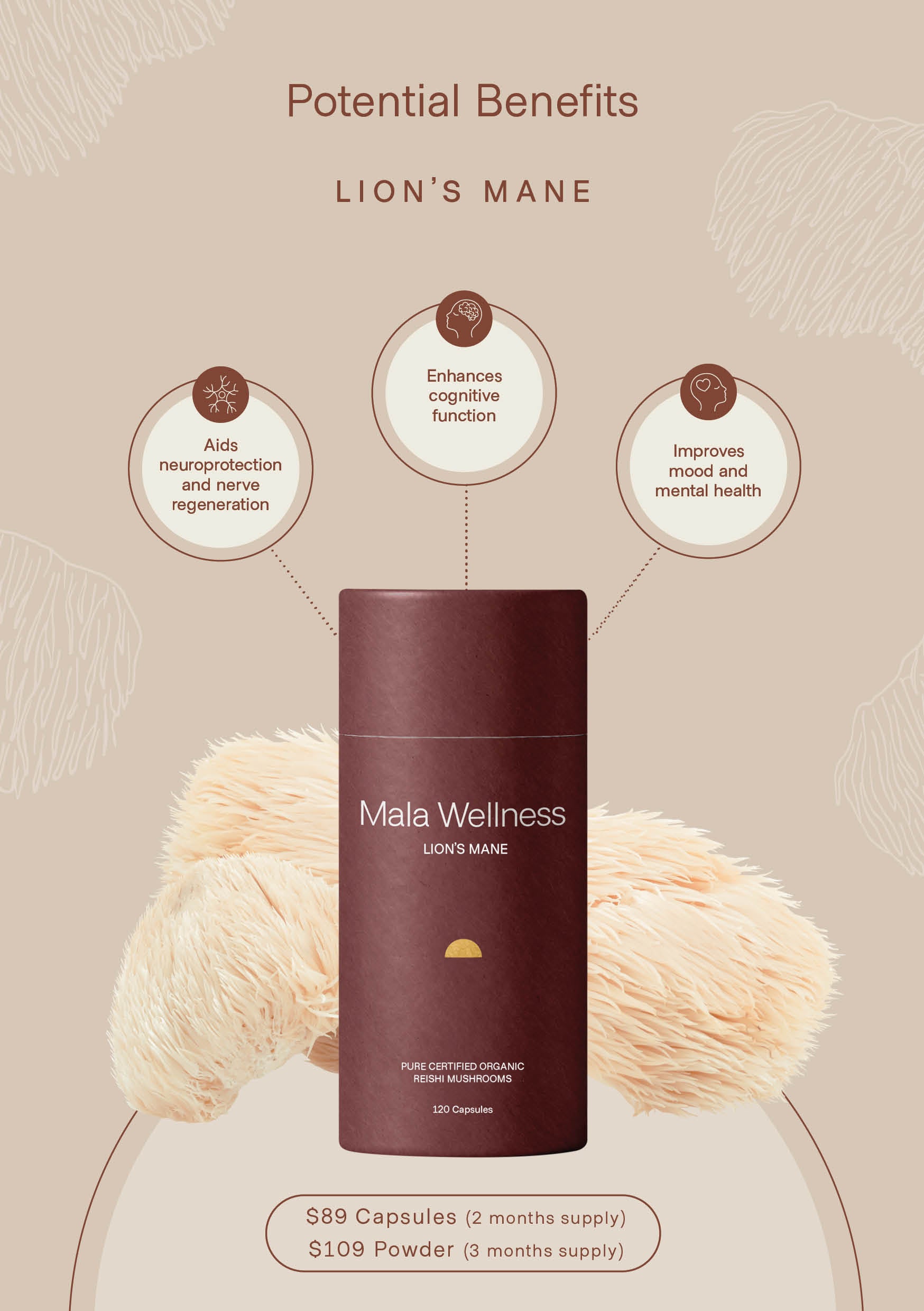 Lion's Mane Organic Mushroom Powder