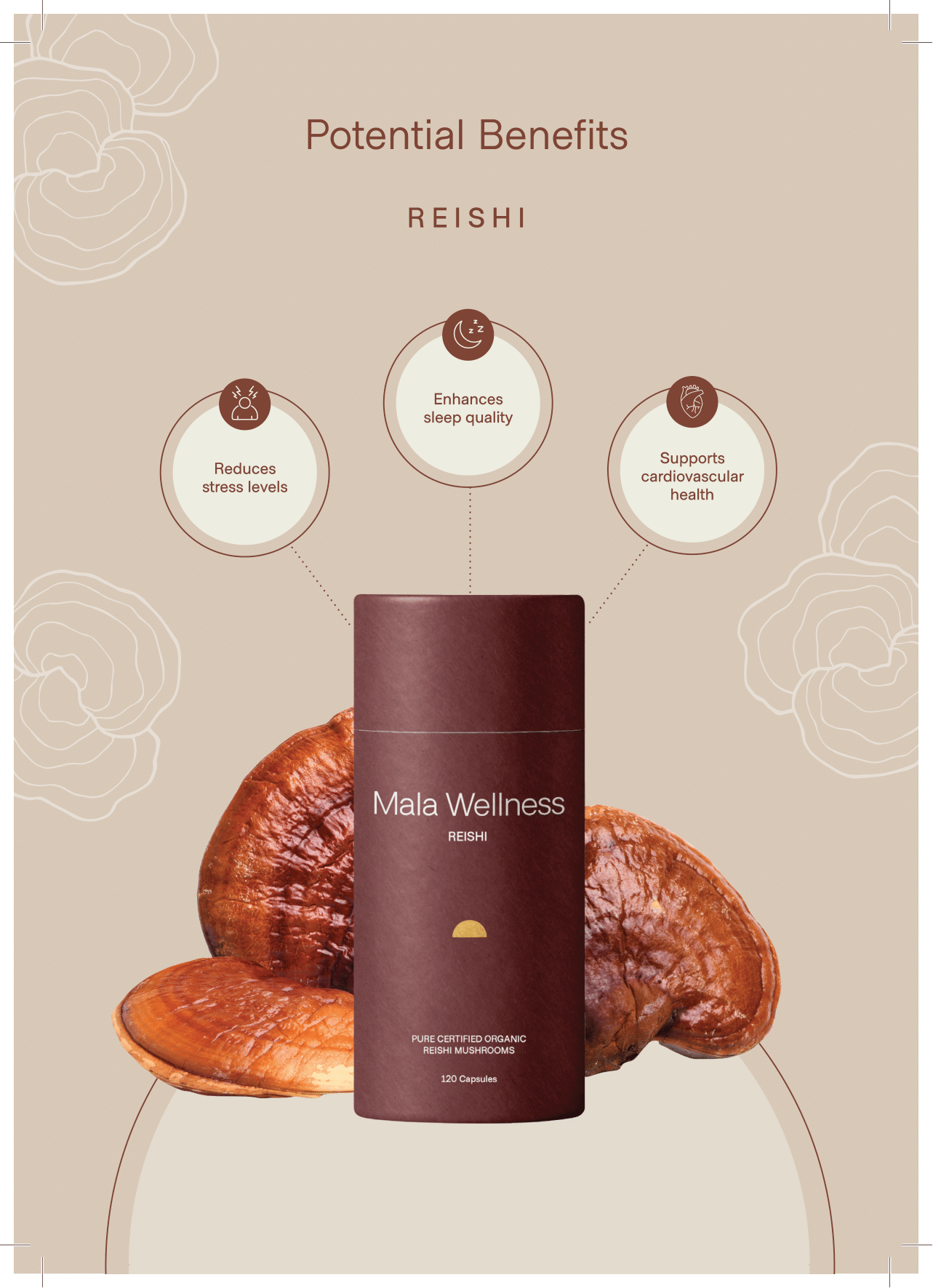 Reishi Organic Mushroom Powder and Capsules