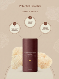 Lion's Mane Full Spectrum