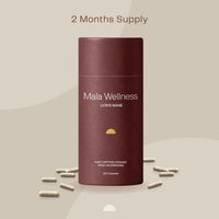Lion's Mane Capsules (pure fruiting body)