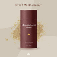 Lion's Mane Powder (pure fruiting body)