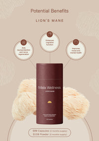Lion's Mane Powder (pure fruiting body)